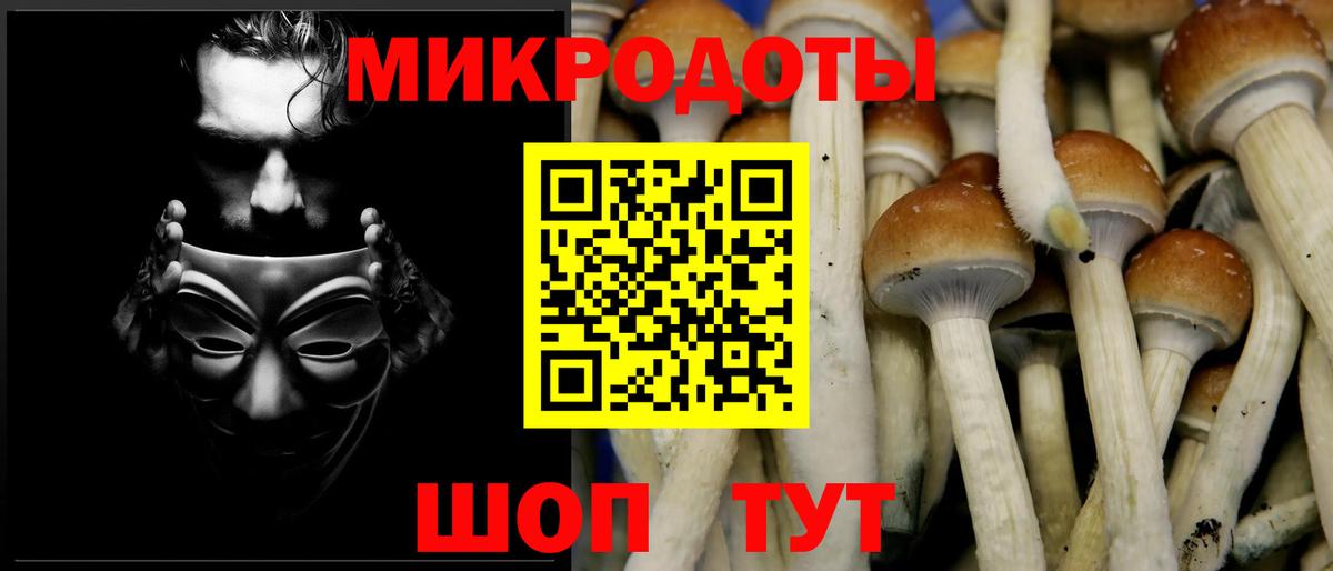 Благовещенск  Псилоцибиновые грибы Cubensis  закладка  Псилоцибиновые грибы мухоморы  Вход с VPN 